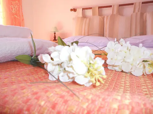 Appartamento Carolina - Casetta Del Mare Apartment *